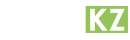 Logo FST.KZ